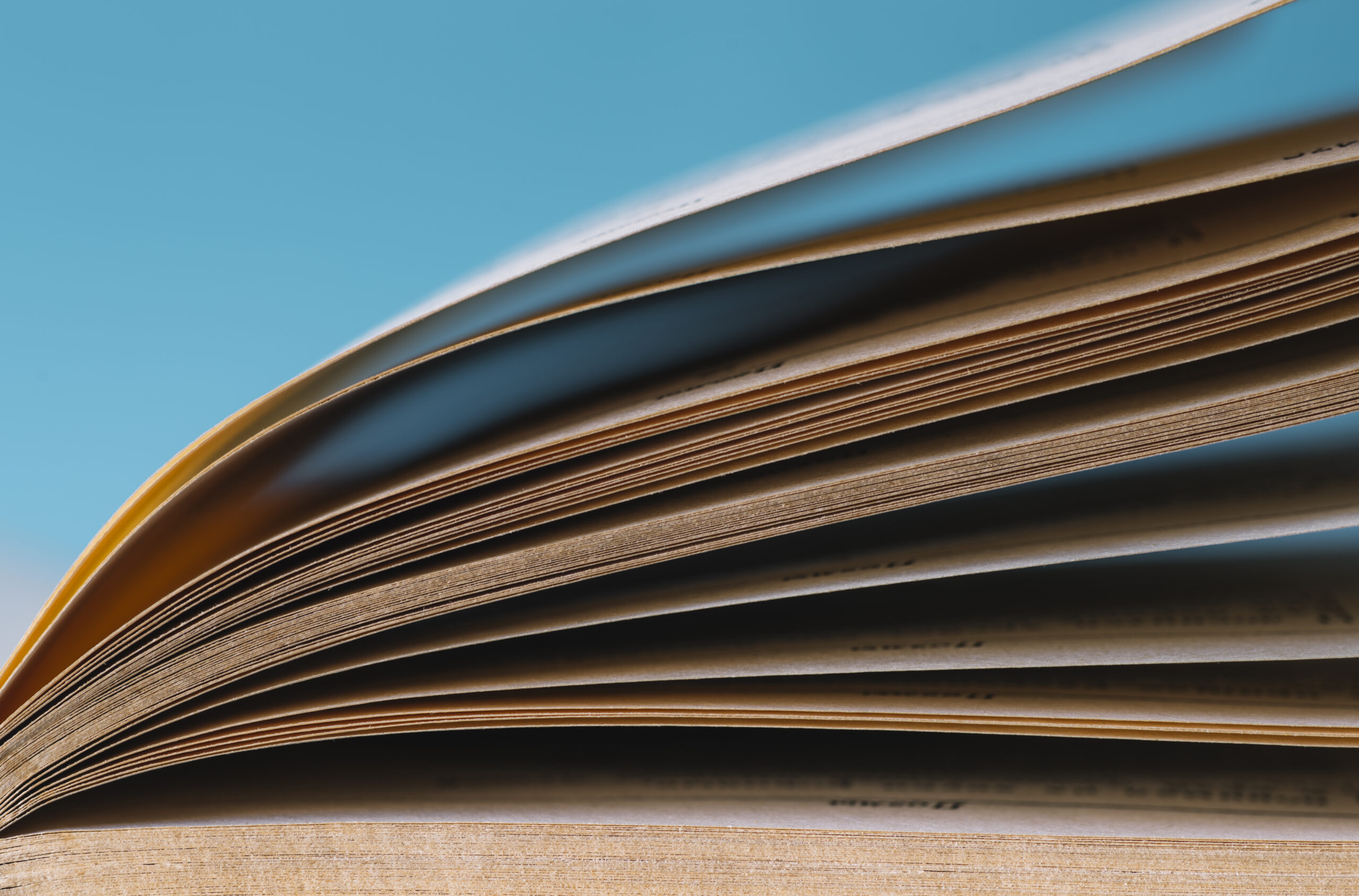 Academic Journal