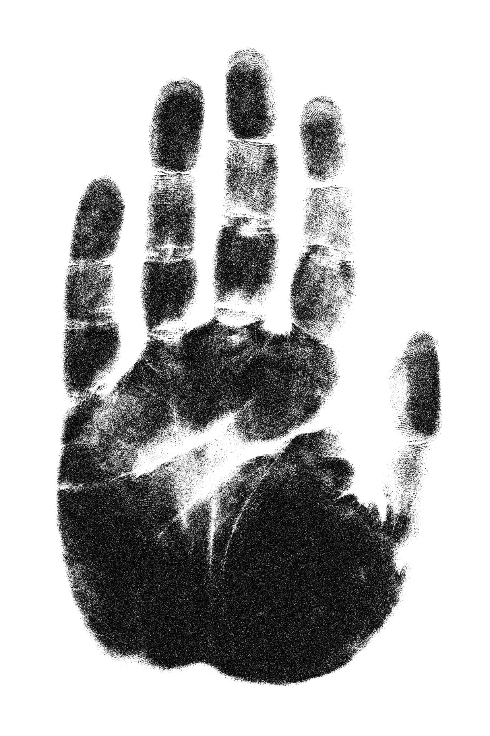 fingerprint